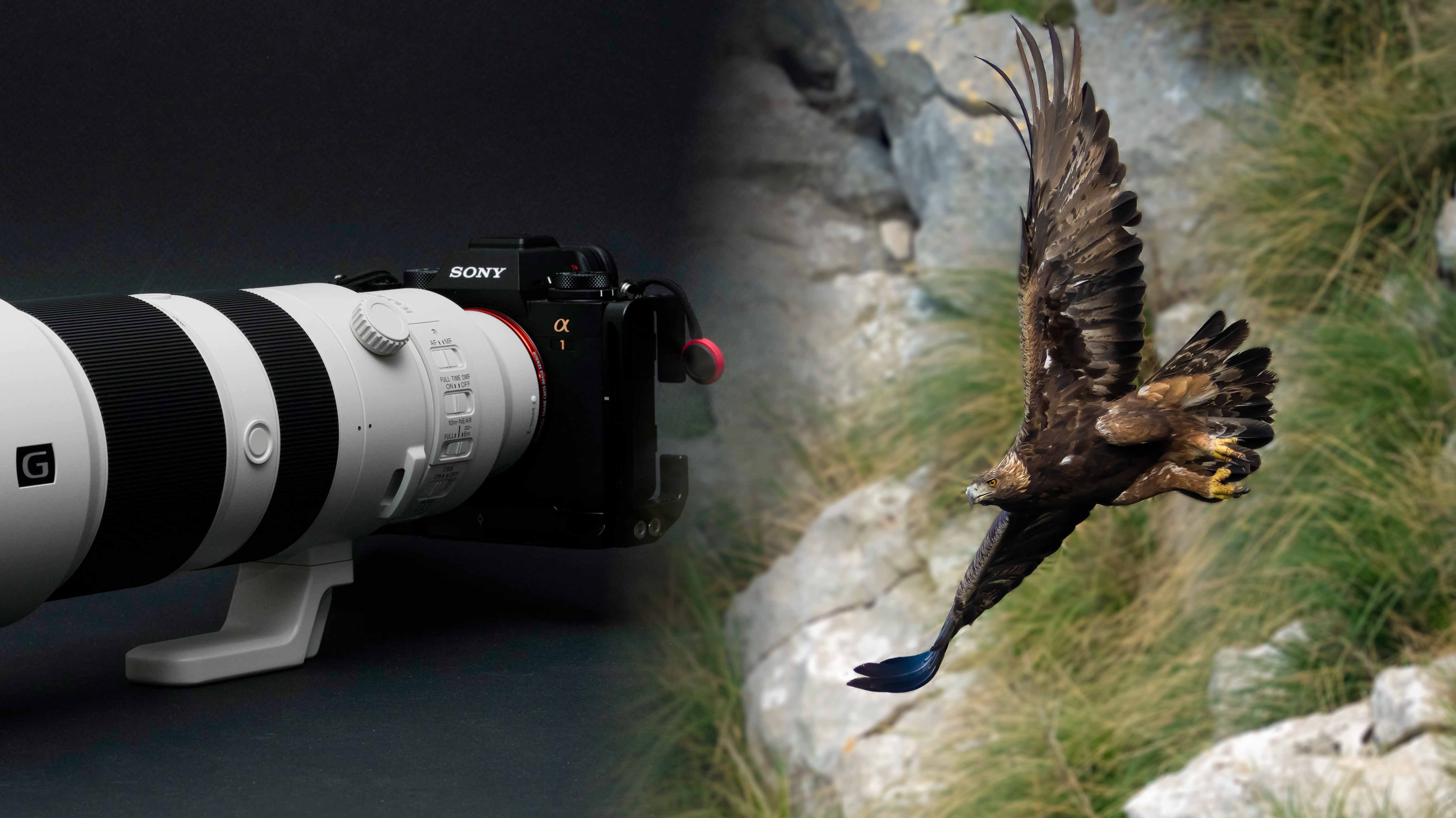 AQUILE, SUPERTELE, A1 (Video)