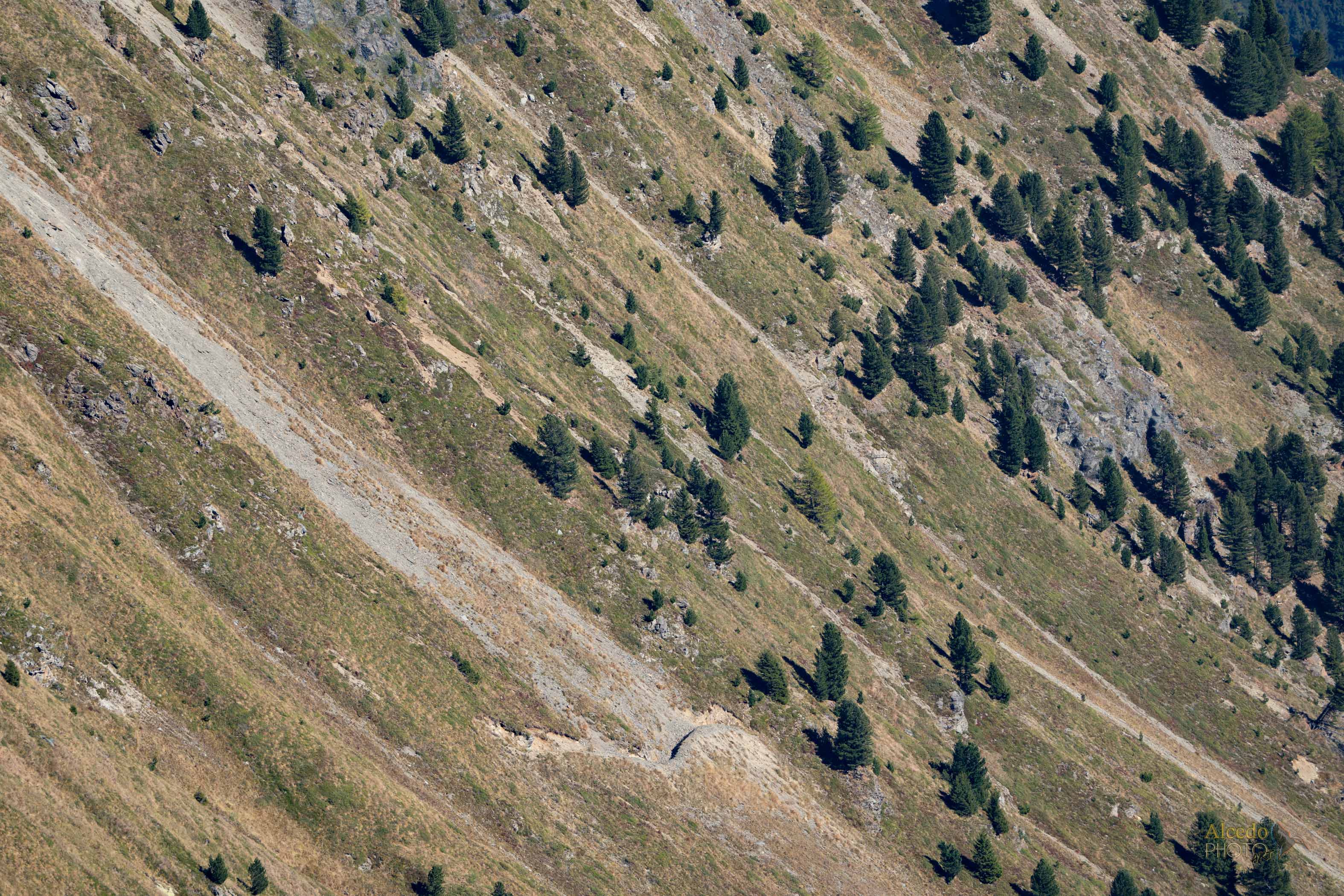 Passo dello Stelvio 